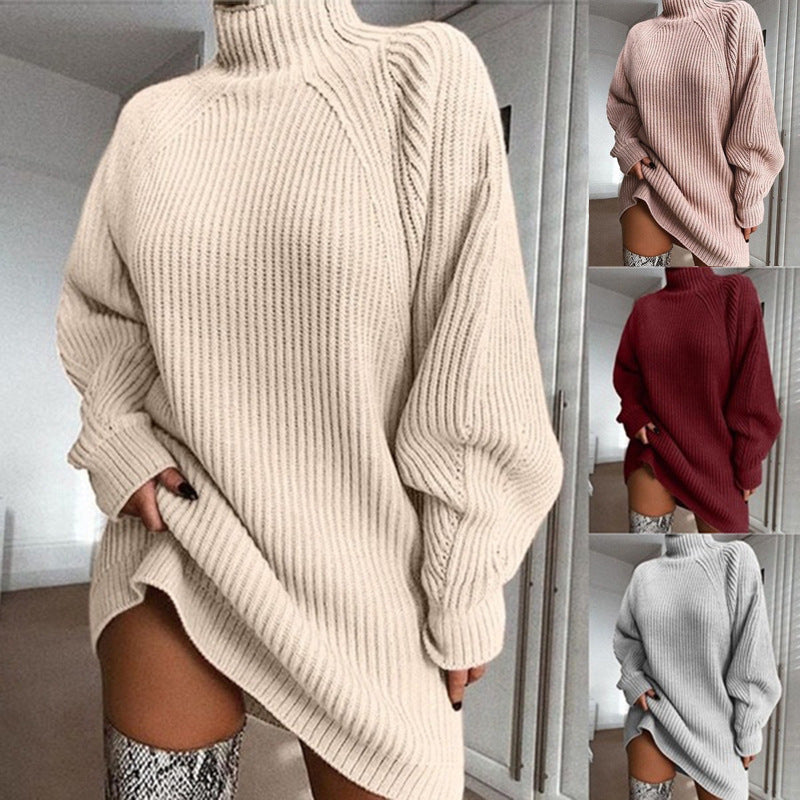 Solid Long Turtleneck