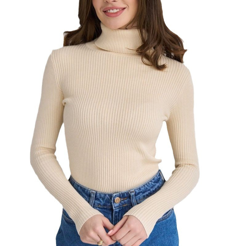 Women's Knitwear Turtleneck Pullover - Dress To Impress